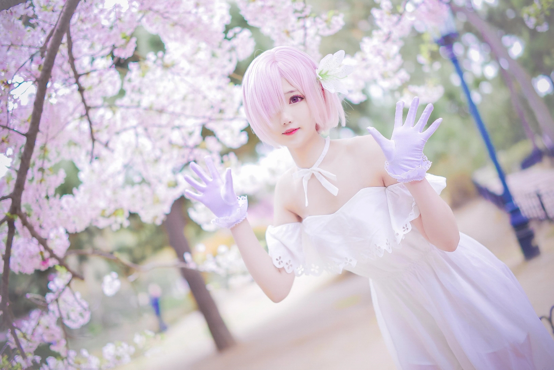 羽天Shine - NO.52 可爱COS玛修学妹FATE- GRAND ORDER玛修二周年礼服~ 2