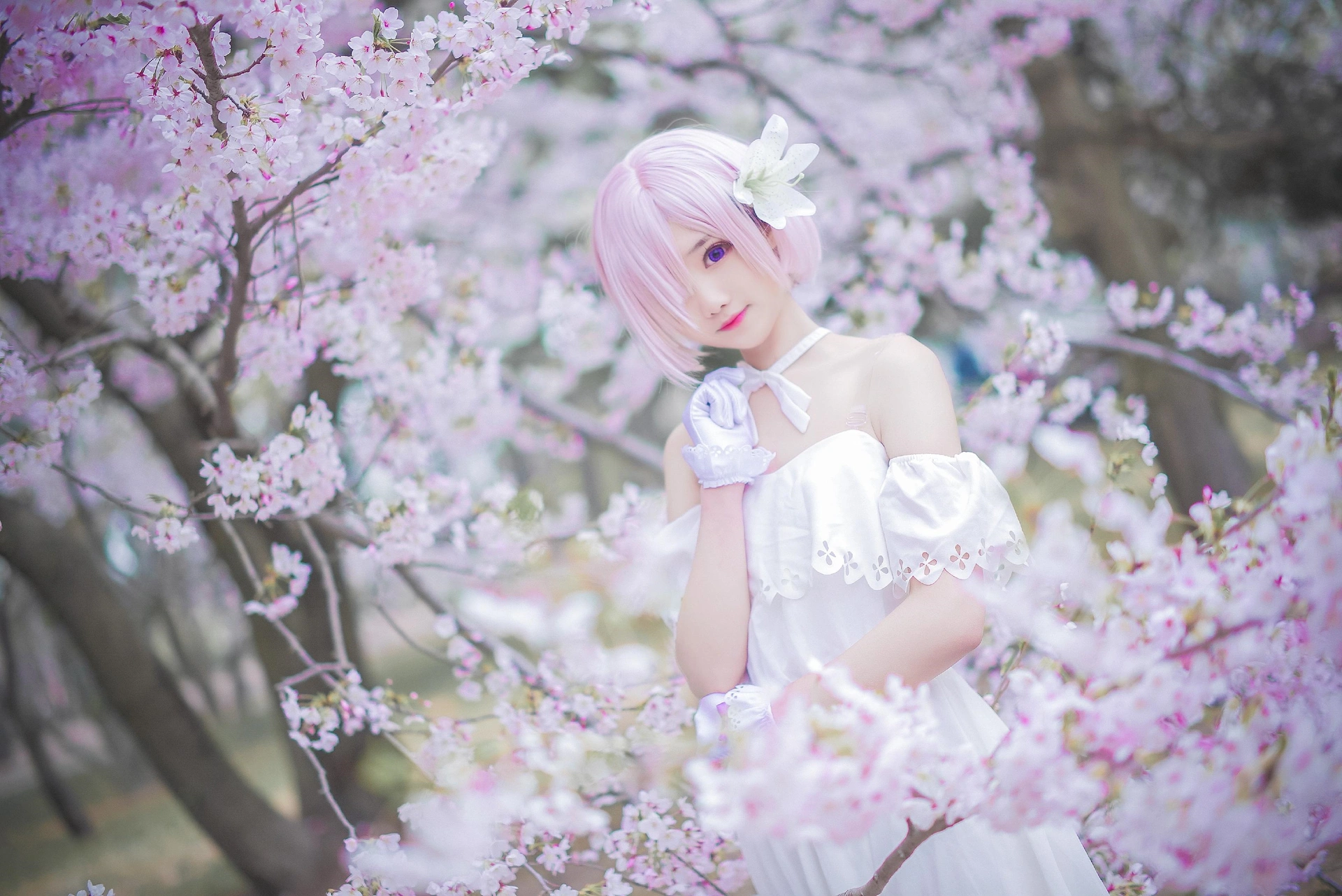 羽天Shine - NO.52 可爱COS玛修学妹FATE- GRAND ORDER玛修二周年礼服~ 3
